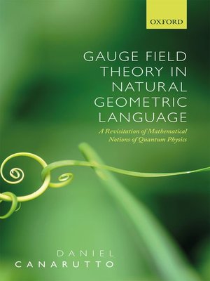 cover image of Gauge Field Theory in Natural Geometric Language